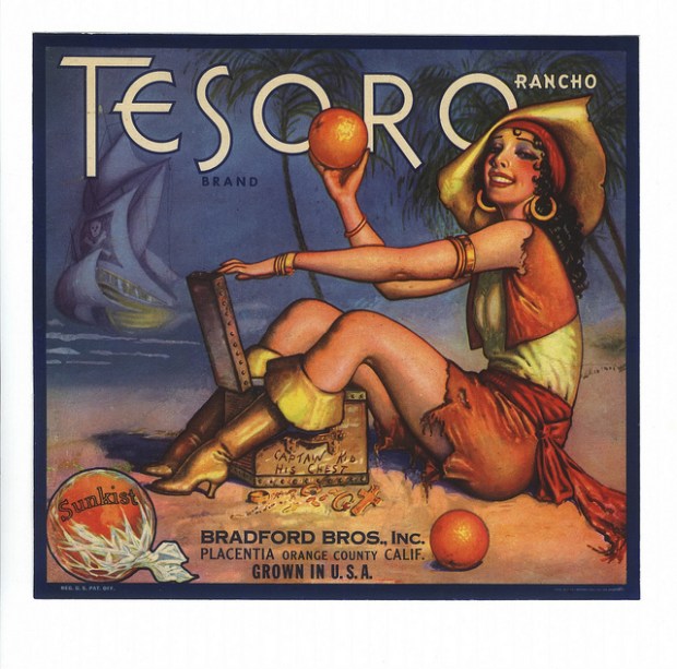 Actual trip may differ from photo.