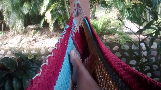 IMG_20160222_151448151