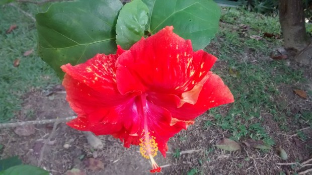 IMG_20160222_153443951