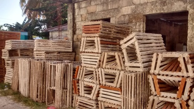 IMG_20160329_161539208_HDR