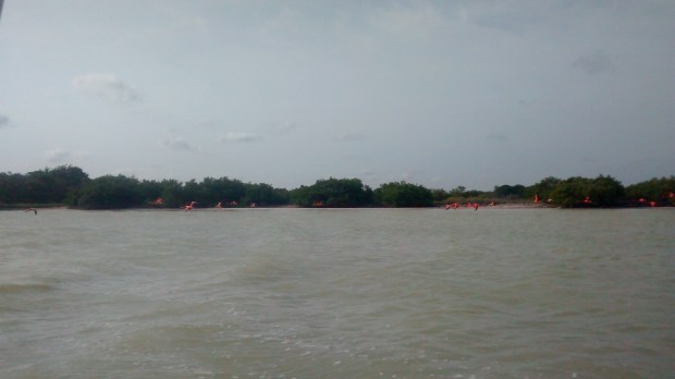 IMG_20160417_084815376