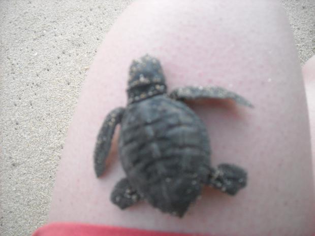 903761_10101806003536332_738679146_o